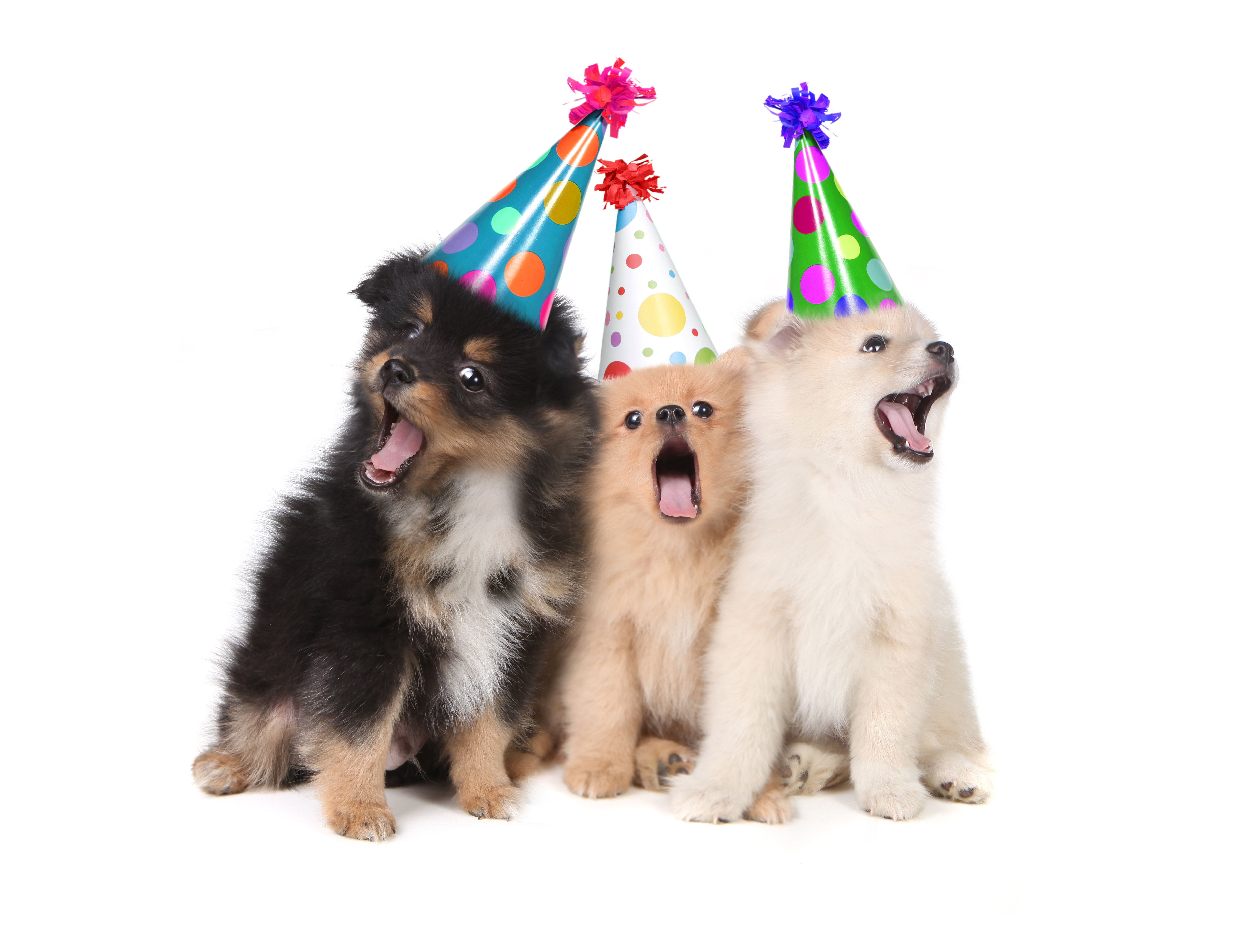 shutterstock_103998677