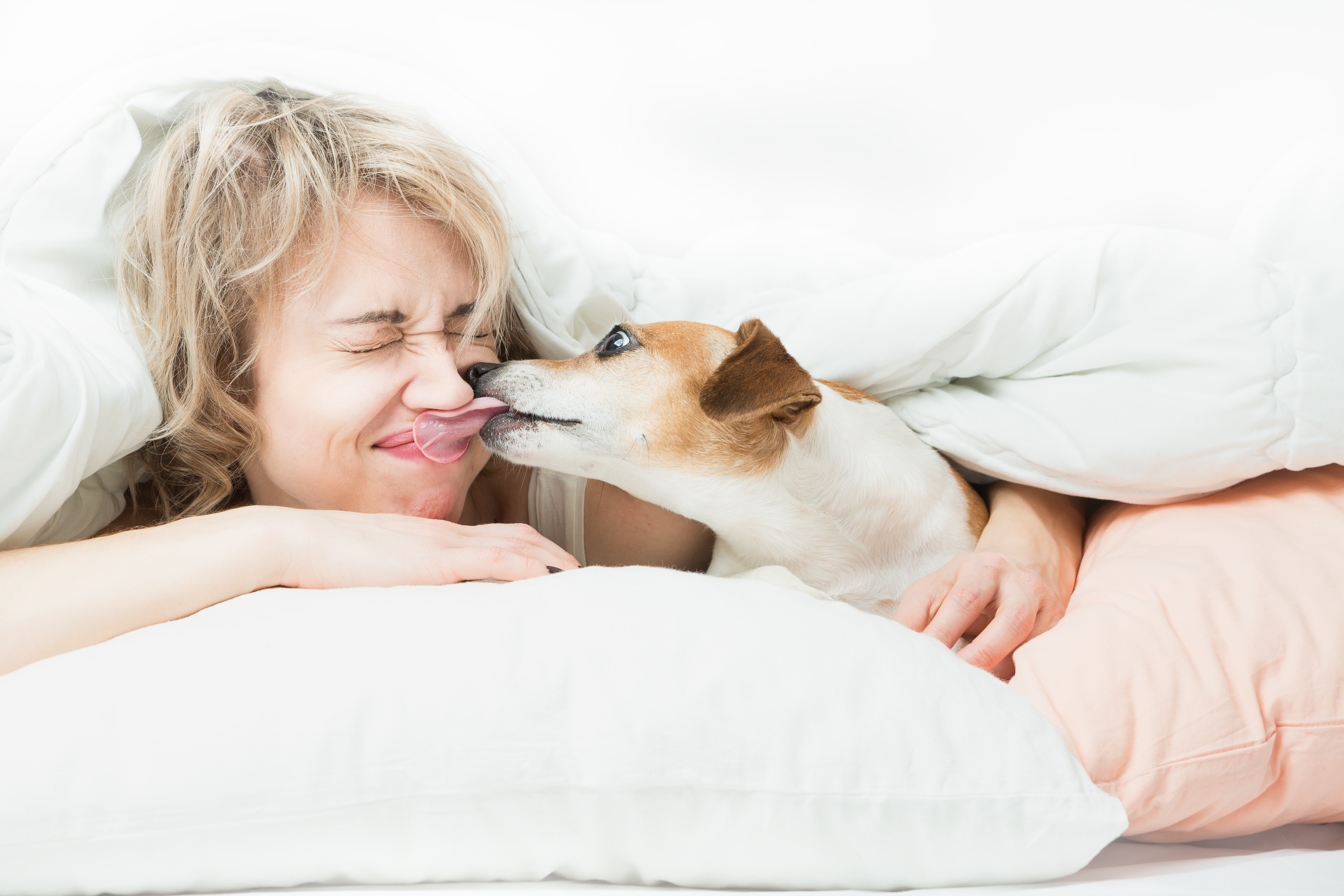 shutterstock_389893594