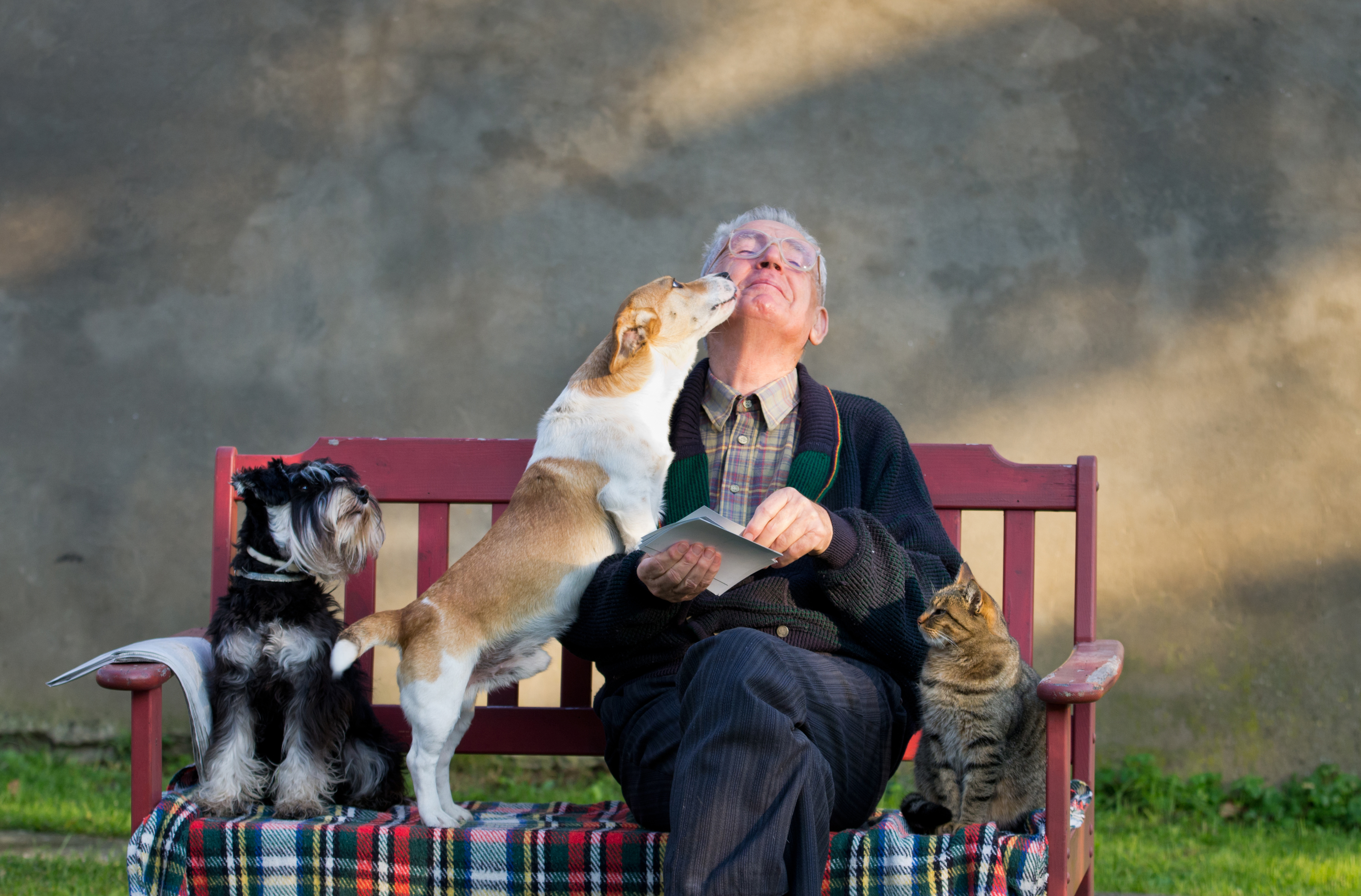 shutterstock_447964363