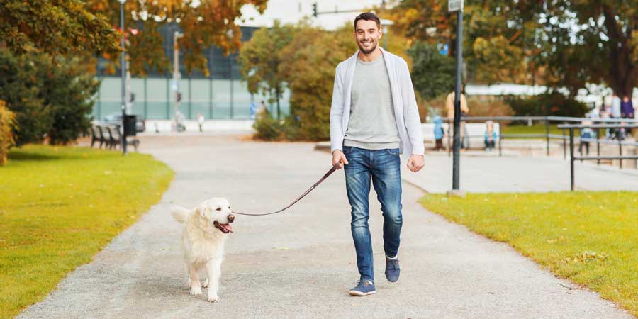 4 Apps To Make Your Dog-Walking Experience Even Better