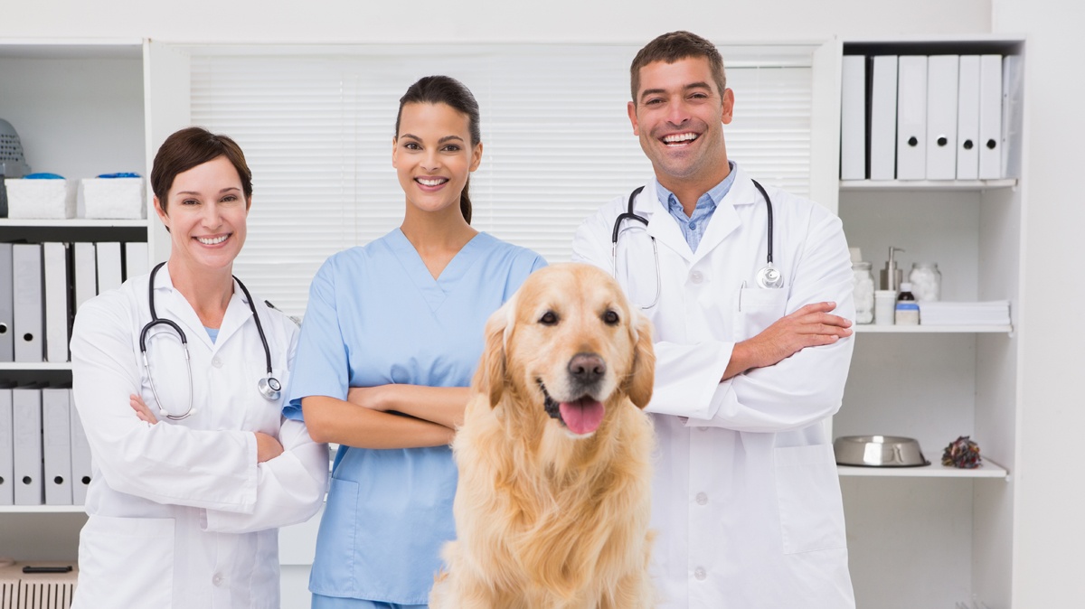Do vet receptionists wear scrubs?