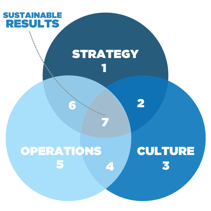 This Pie Chart Shows Strategy and Culture Operations Process