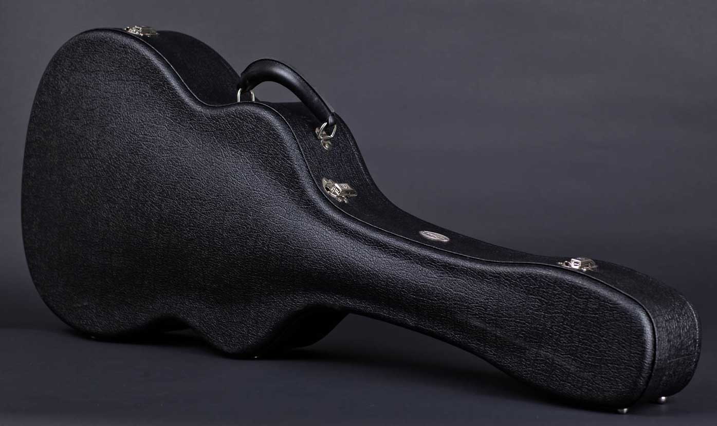 Collings mandolin case Clearance