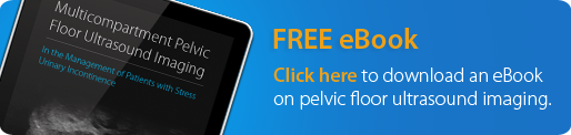 Multicompartment Pelvic Floor Ultrasound Imaging Visualize