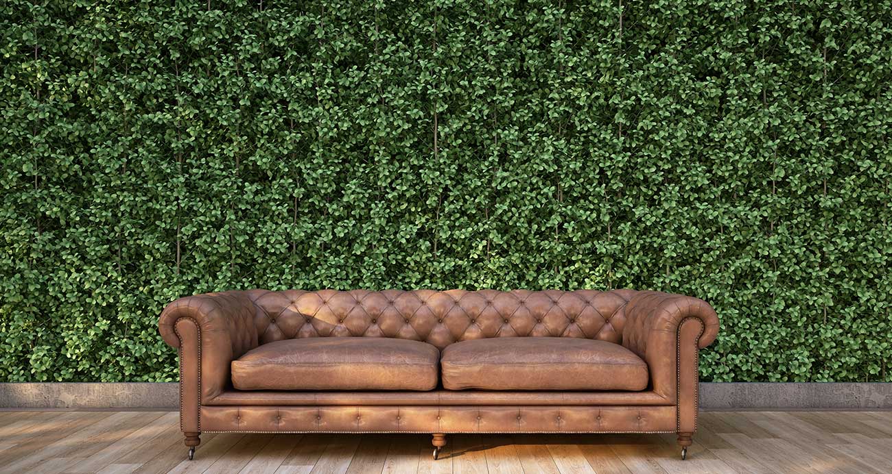 Guide to Artificial Green Walls (and Where to Get Them)