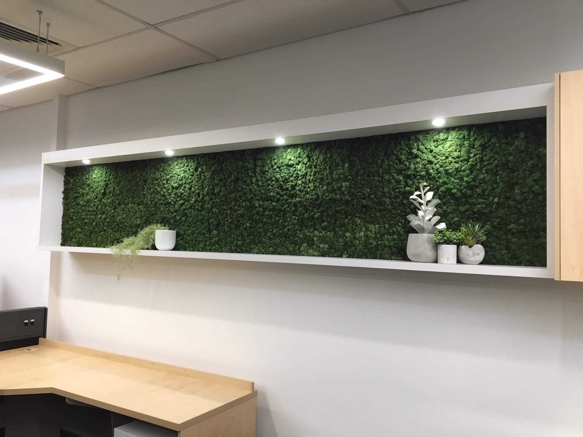 Office Fit Out Green Moss Panels