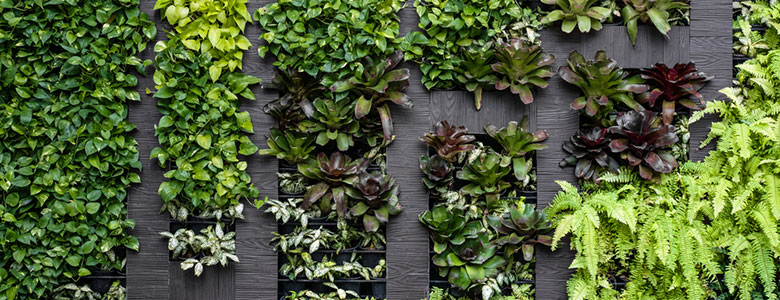 The-Beginners-Guide-to-Vertical-Garden-Systems.jpg