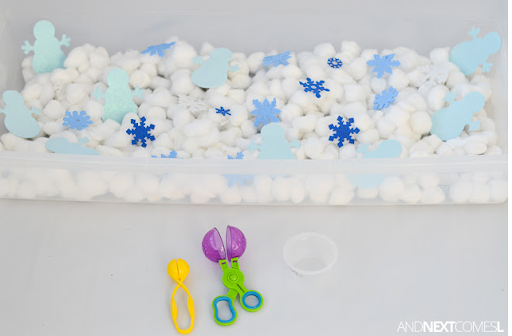 Sensory Bin: Winter Object Function