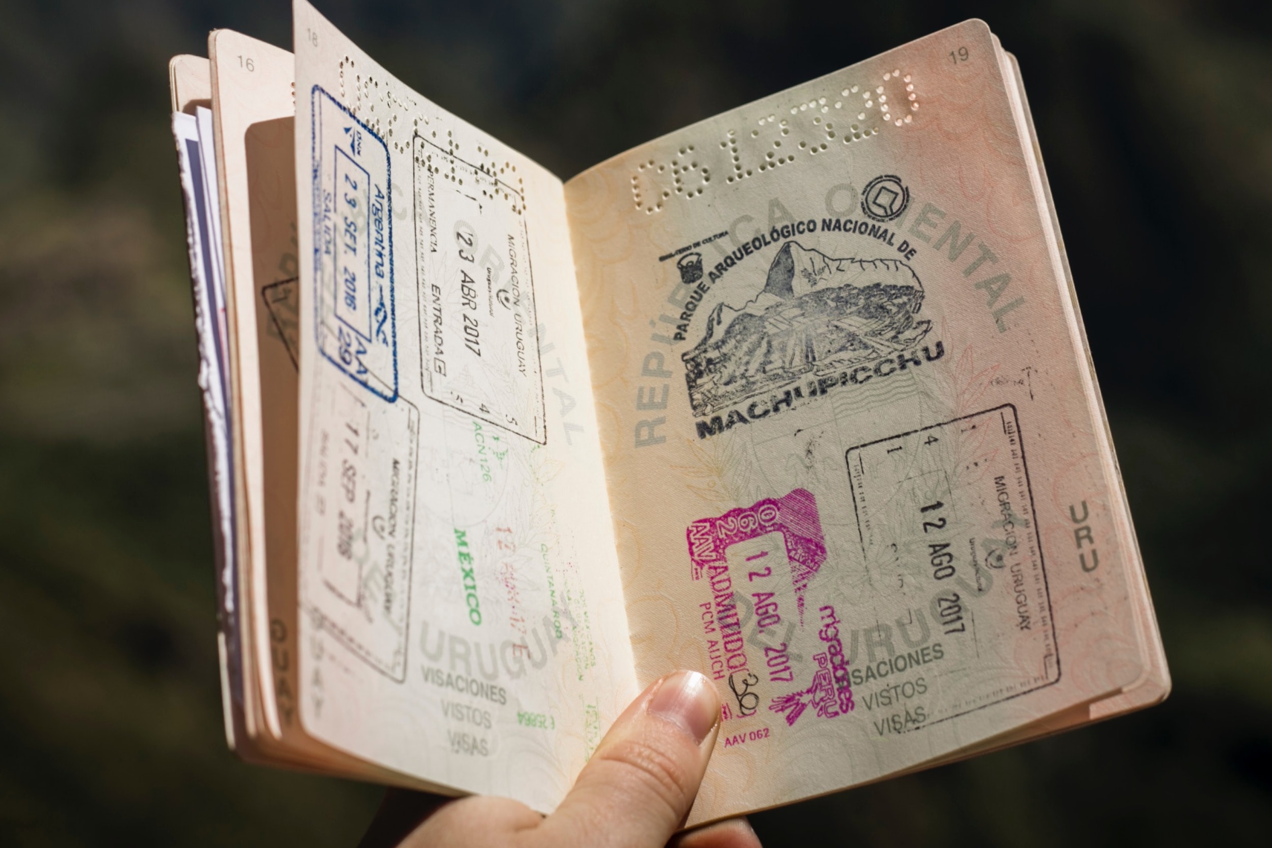 Immigration blog