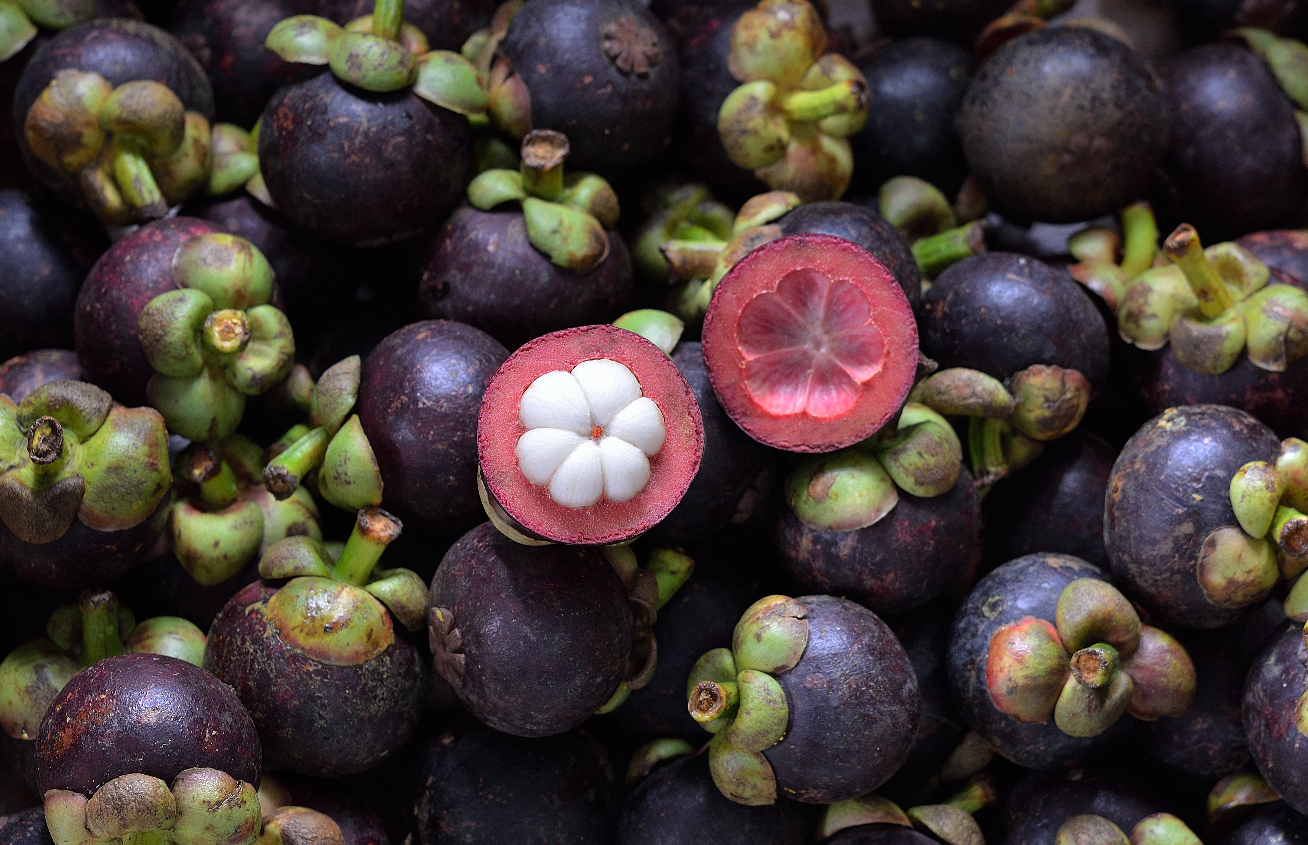 Datassential features mangosteen, yuzu and mamey sapote in its tropical fruits list to watch for 2019.