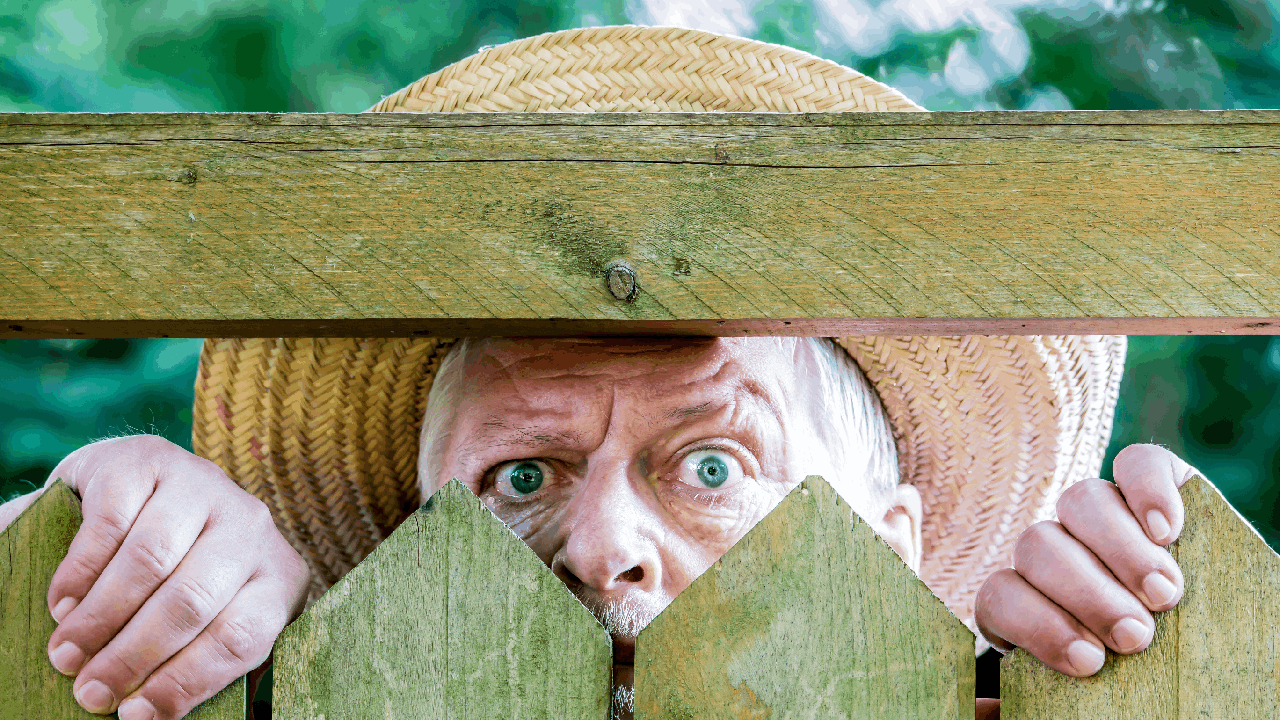 Se Cacher Du Vis A Vis Terrasse 8 Facons D Isoler Sa Terrasse Des Curieux Marie Claire