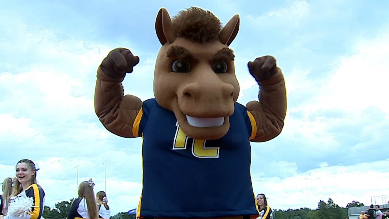 High School Mascots Mustang