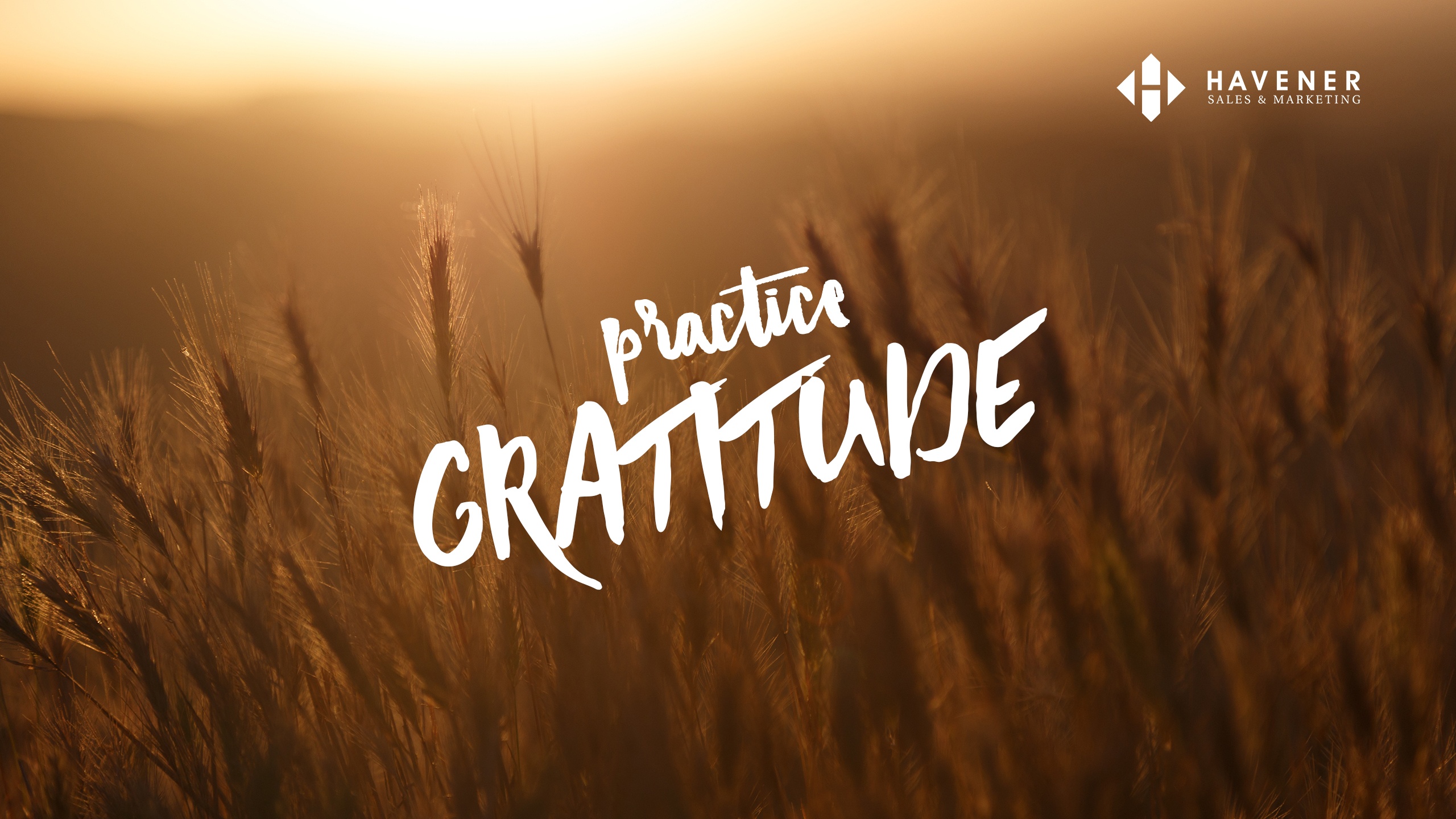 November's Desktop Wallpaper + How Gratitude Helps to Achieve Goals