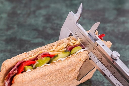 protein sandwich pic