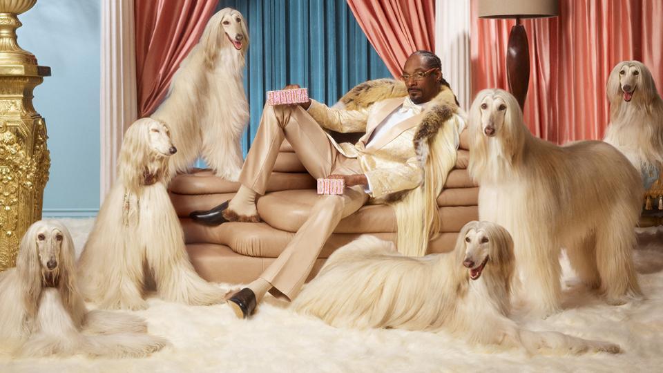 Snoop Dogg poses in Klarna advertisement