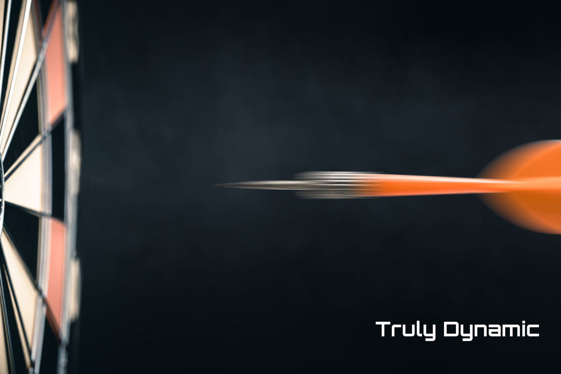 NS-Ltd-Truly-Dynamic
