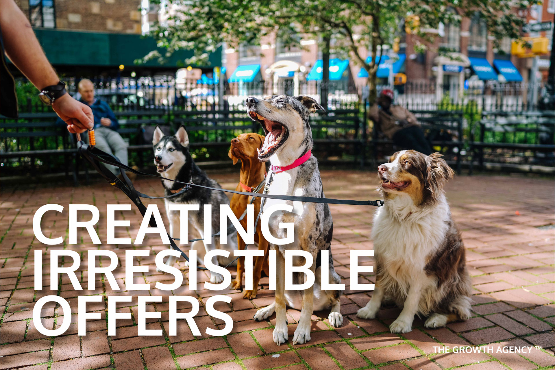 Nick-Spalding-Ltd---Creating-Irresistible-Offers-Image