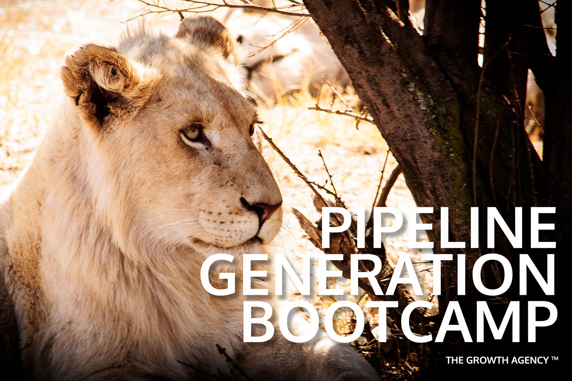 Nick-Spalding-Ltd---Pipeline-Generation-Bootcamp--The-Growth-Agency-Image