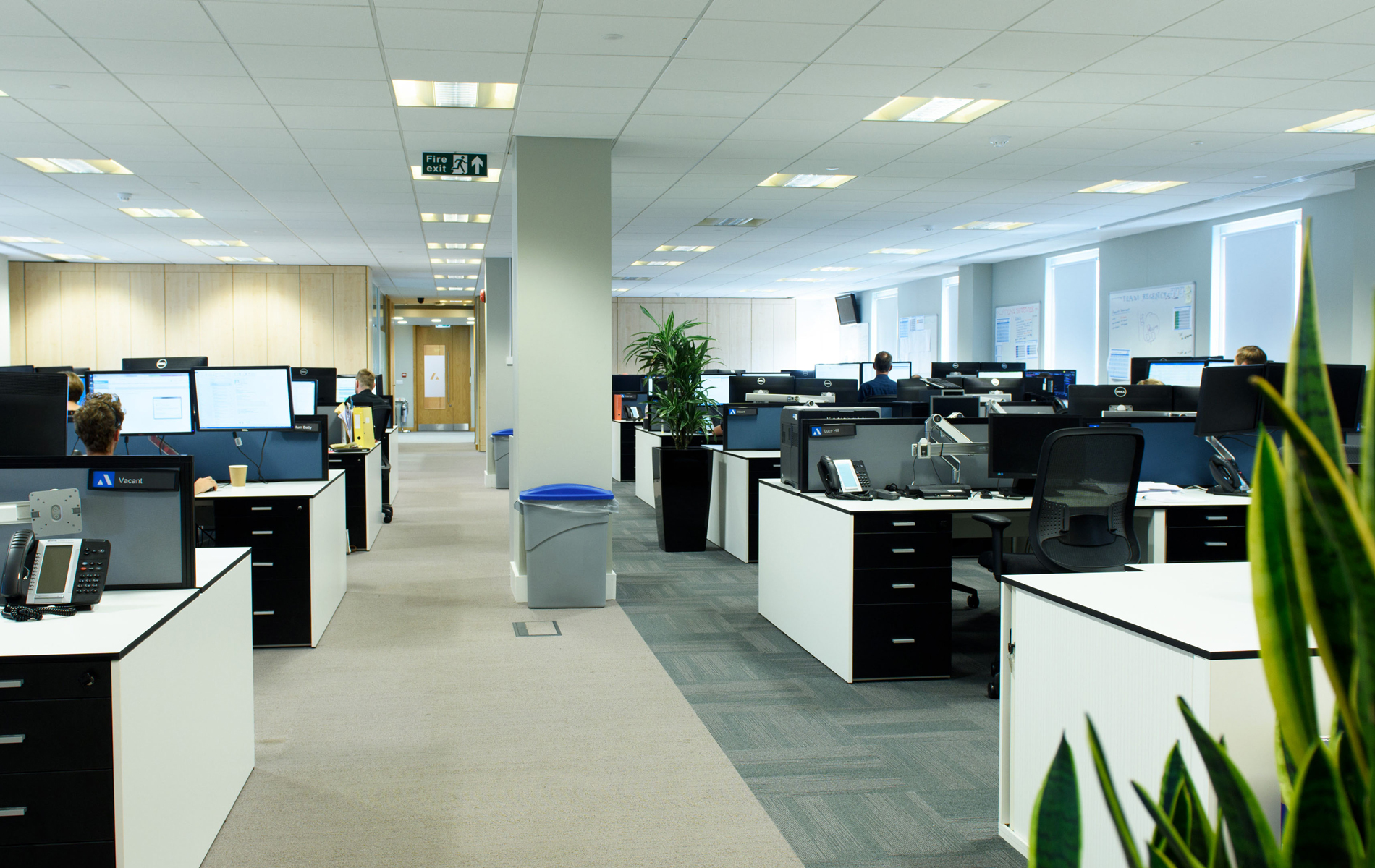 Sound-Directions-Office-Image