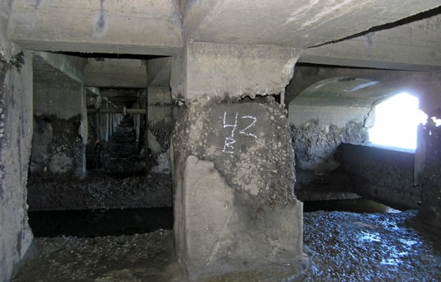 diamond-state-port-corporation-inspection