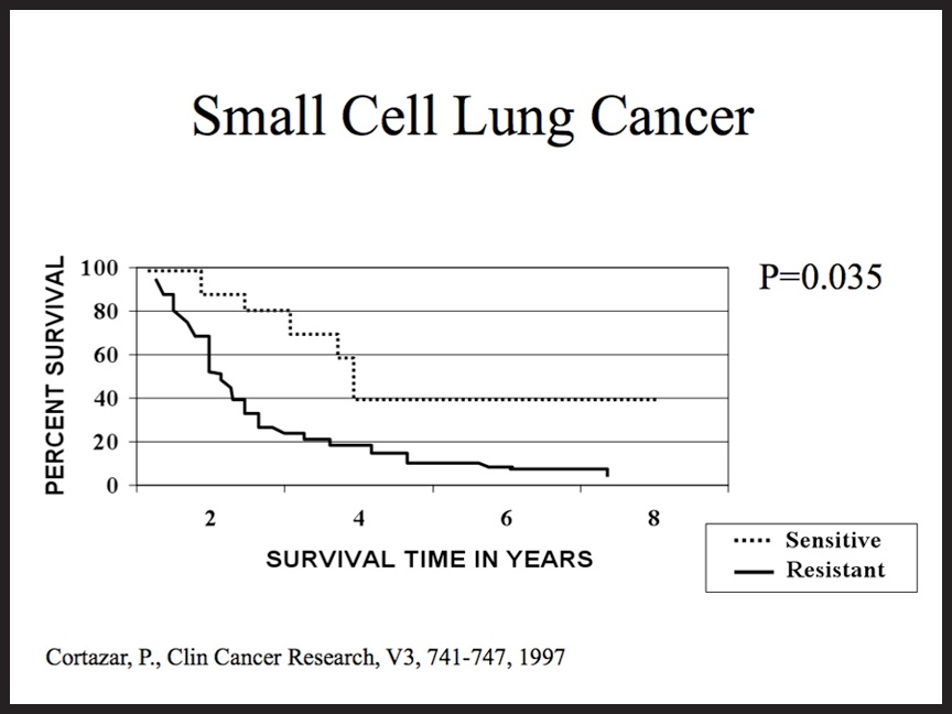 Small Cell Lung Cancer Prognosis