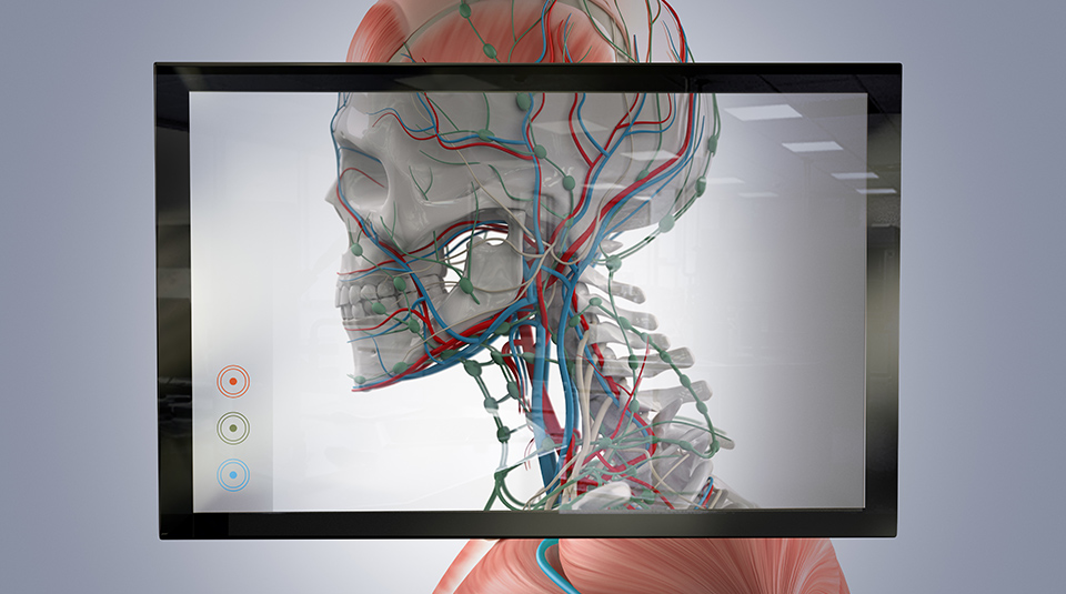 Augmented and Virtual Reality Solution