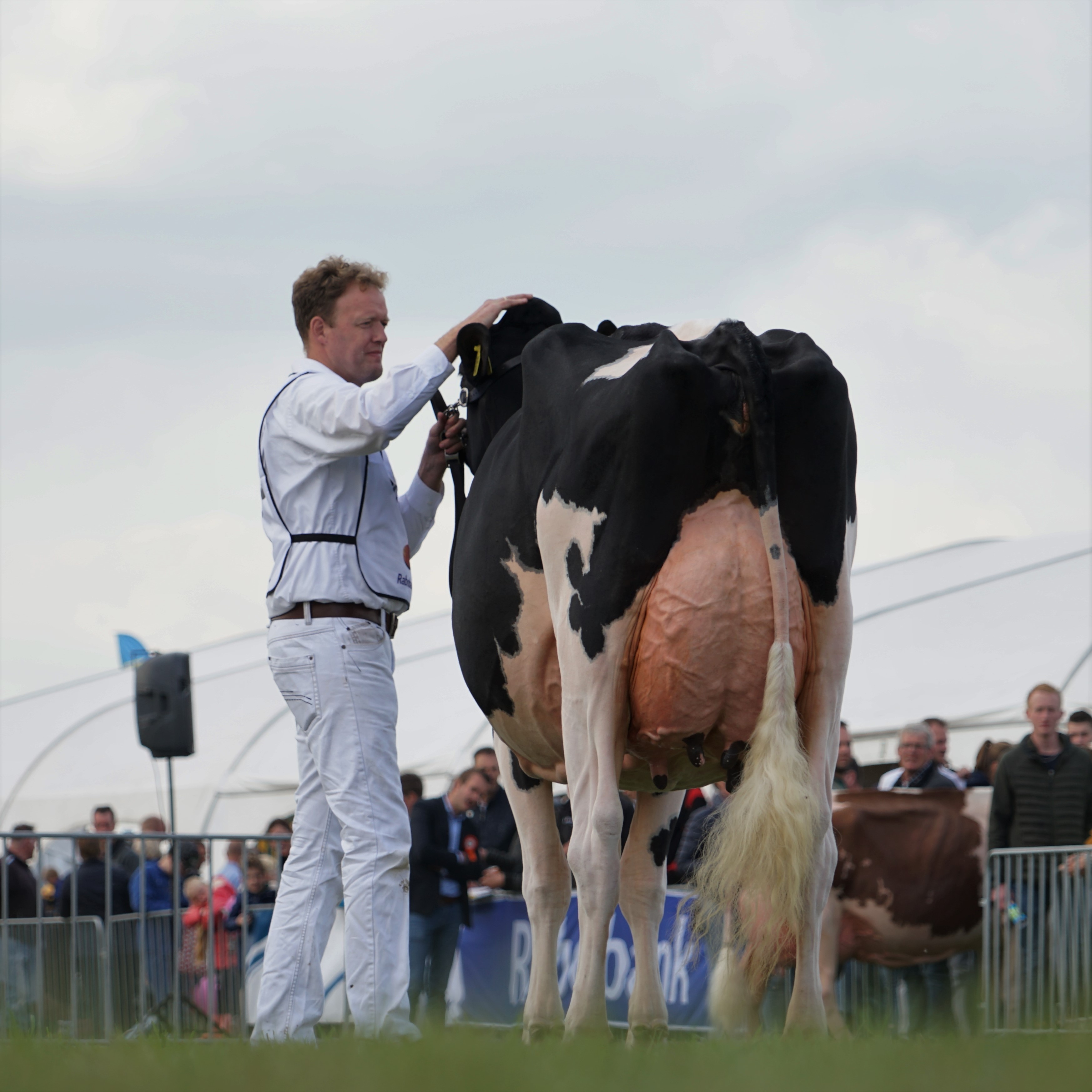 Nico Bons - Door Lianna Kolff