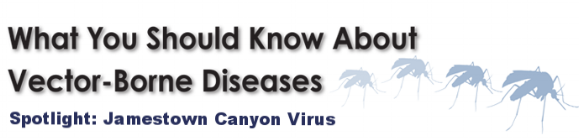 vector-borne-diseases-banner-mosquito-1-blog-lead_579x144