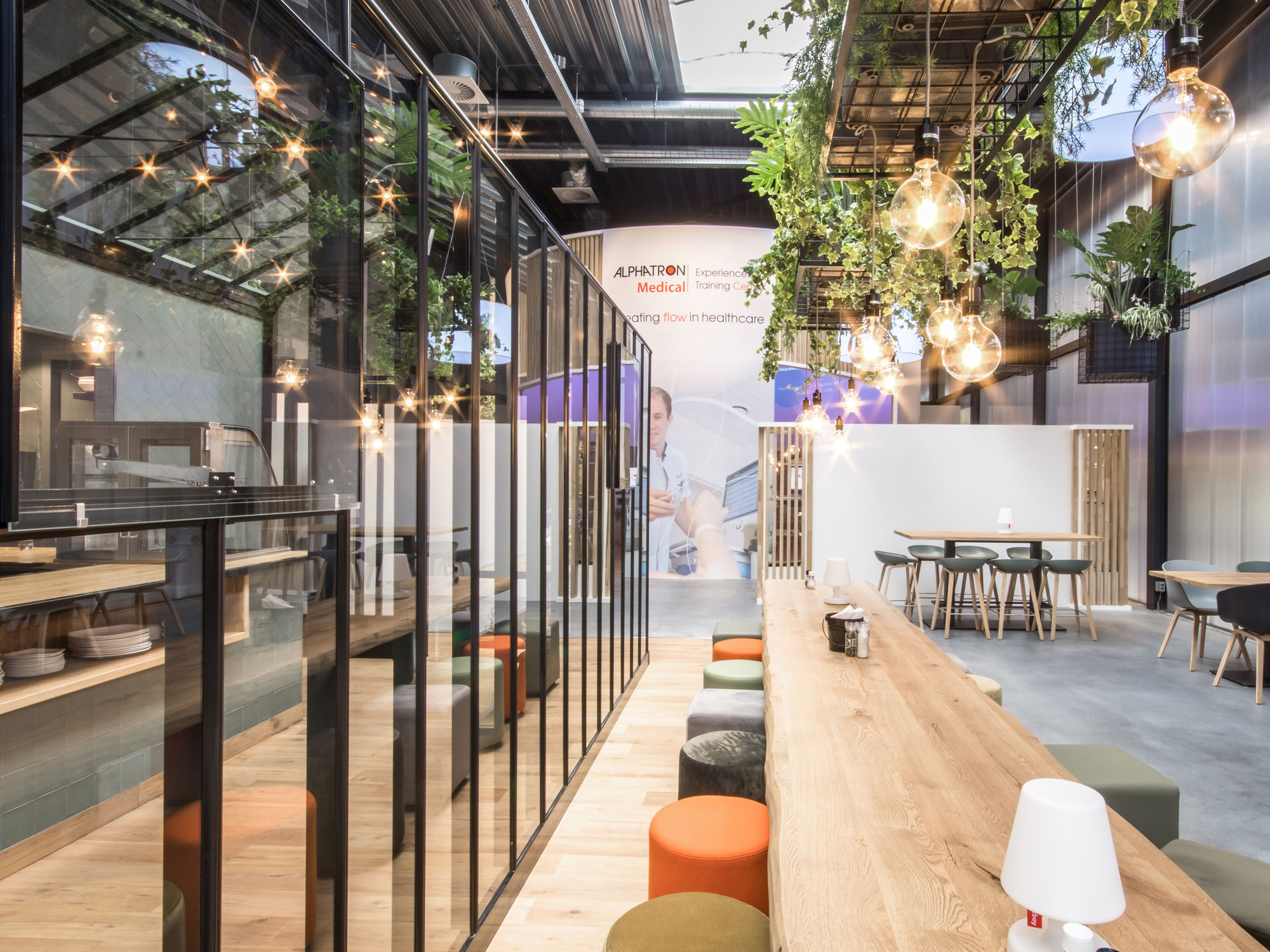 Alphatron_experience_comressed2