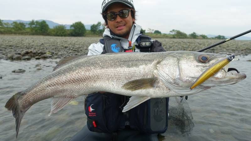 シーバス釣り いつも同じポイント症候群 の克服法 魚種別釣りガイド