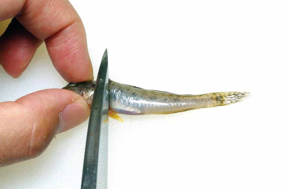 ハゼ さばき方 小型ハゼ唐揚げ用の下ごしらえ 美味しい鮮魚料理