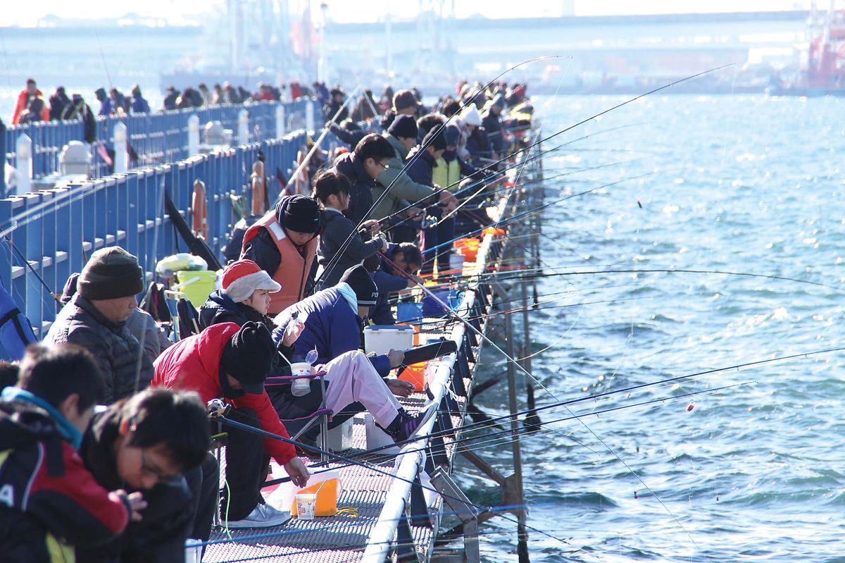 132-135honomoku-shikoiwashi_cs6 (2)_1