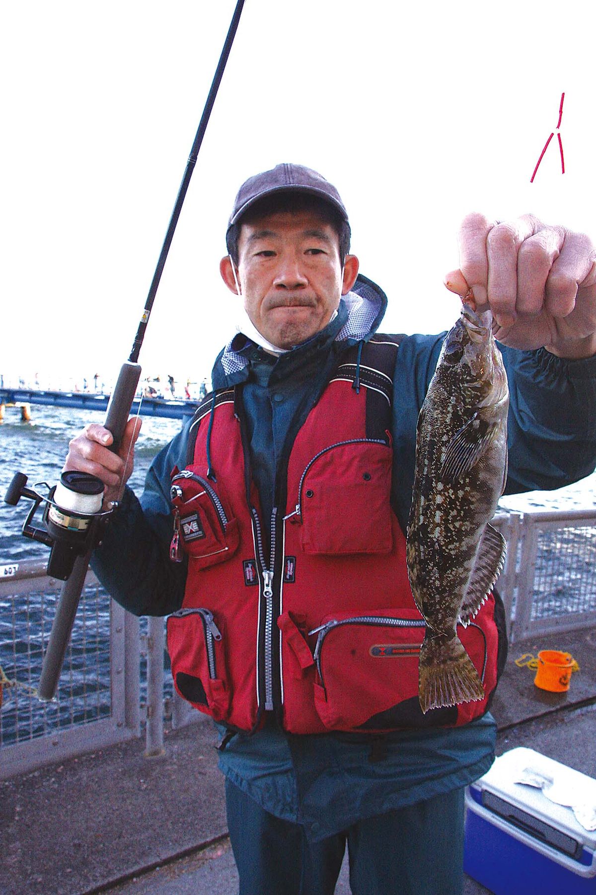 132-135honomoku-shikoiwashi_cs6 (9)
