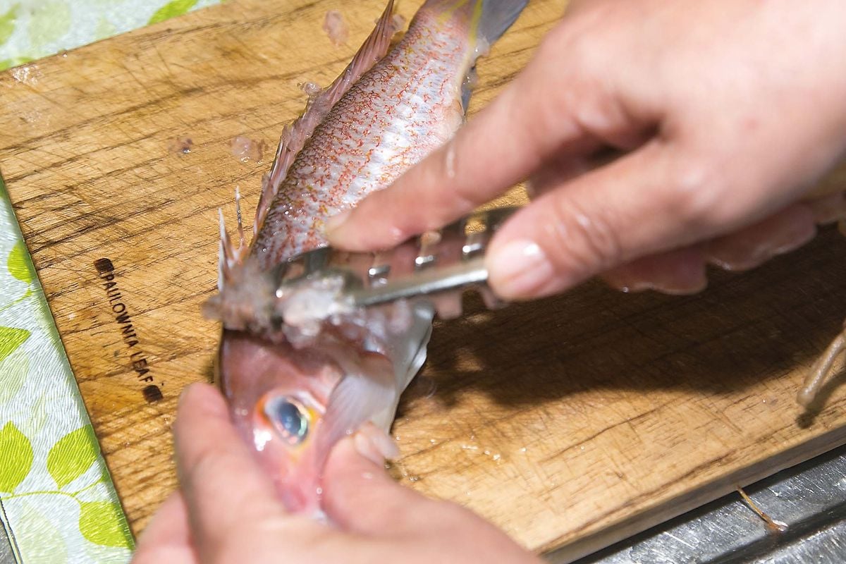 アマダイ 一夜干し 美味しい鮮魚料理