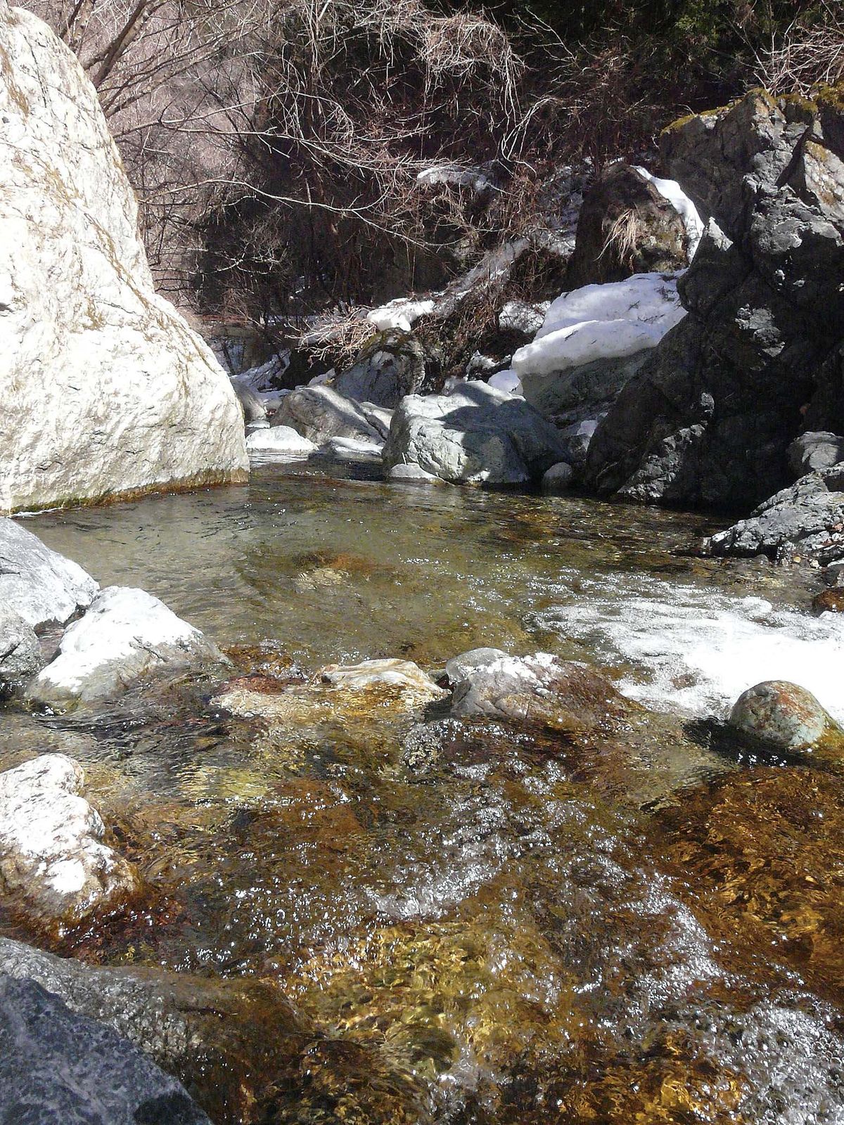 イワナ ヤマメ釣り 埼玉県 荒川水系 全国おすすめ釣り場