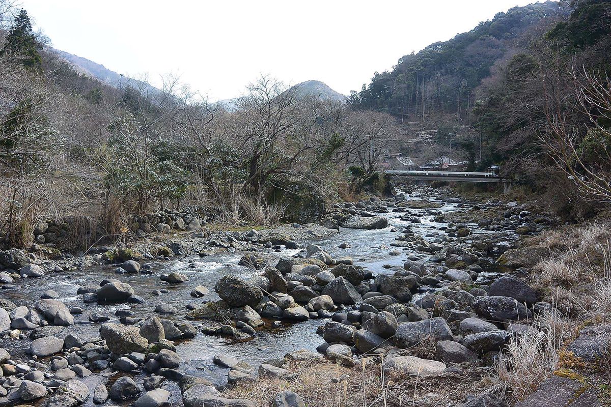 028-036dantou-keiryu_cs6 (28)