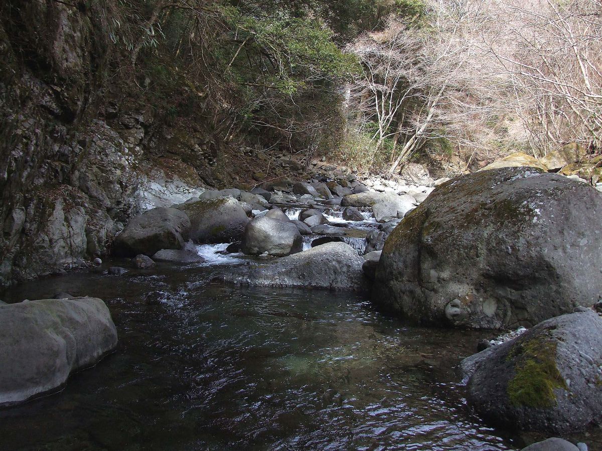 028-036dantou-keiryu_cs6 (39)