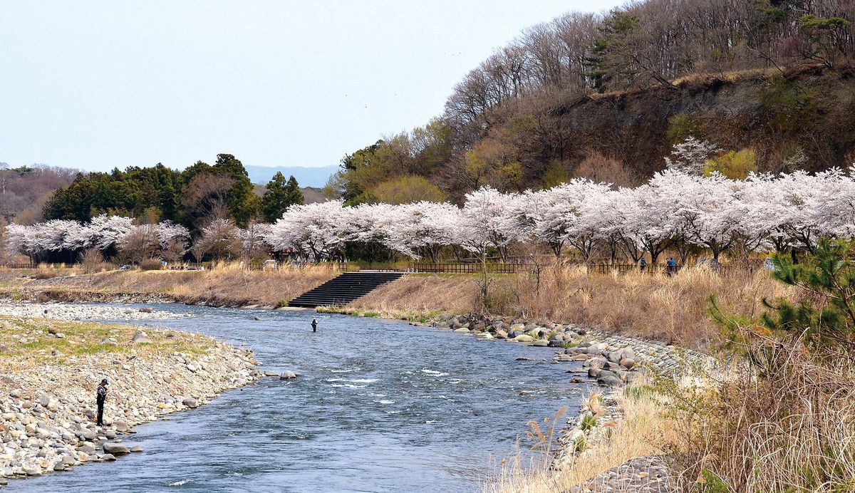 イワナ ヤマメ釣り 栃木県 那珂川水系 全国おすすめ釣り場