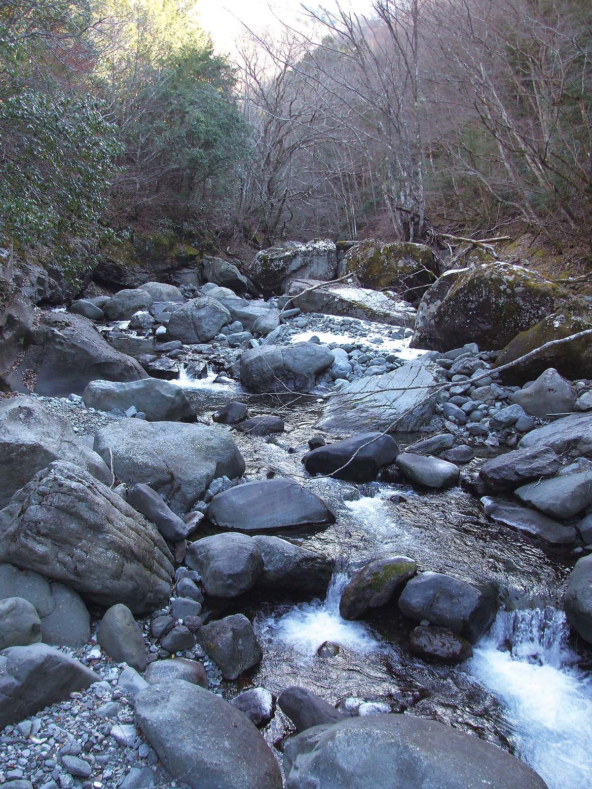 028-036dantou-keiryu_cs6 (40)