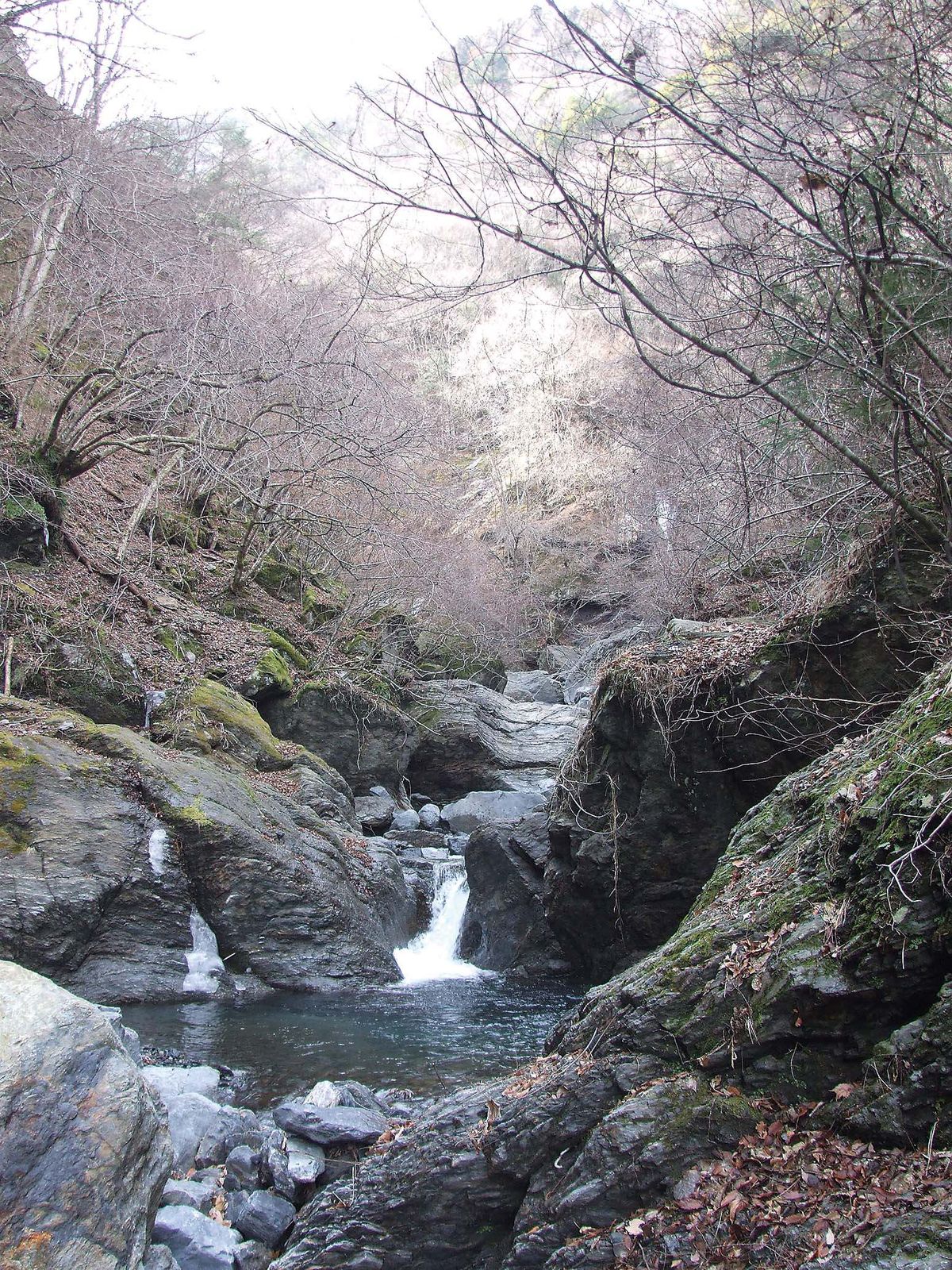 028-036dantou-keiryu_cs6 (41)