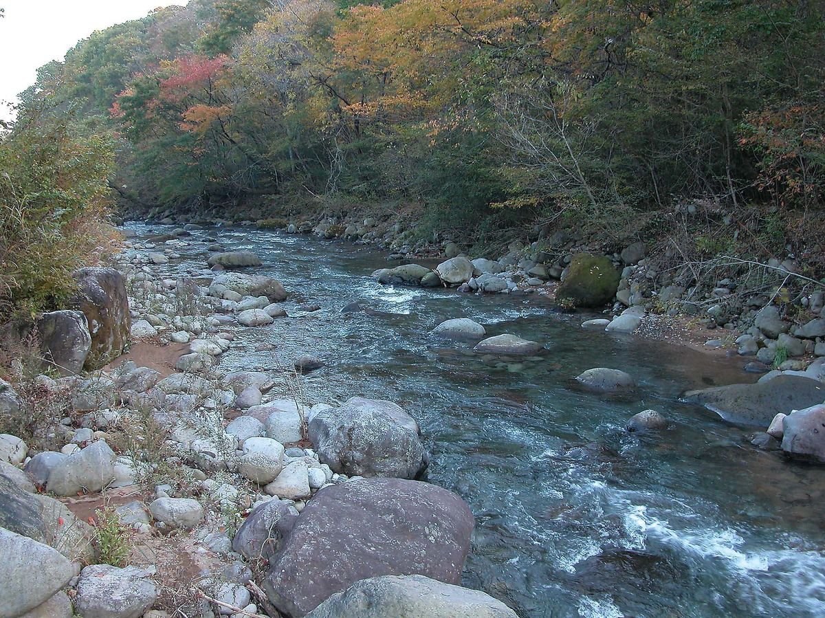 イワナ ヤマメ釣り 栃木県 那珂川水系 全国おすすめ釣り場