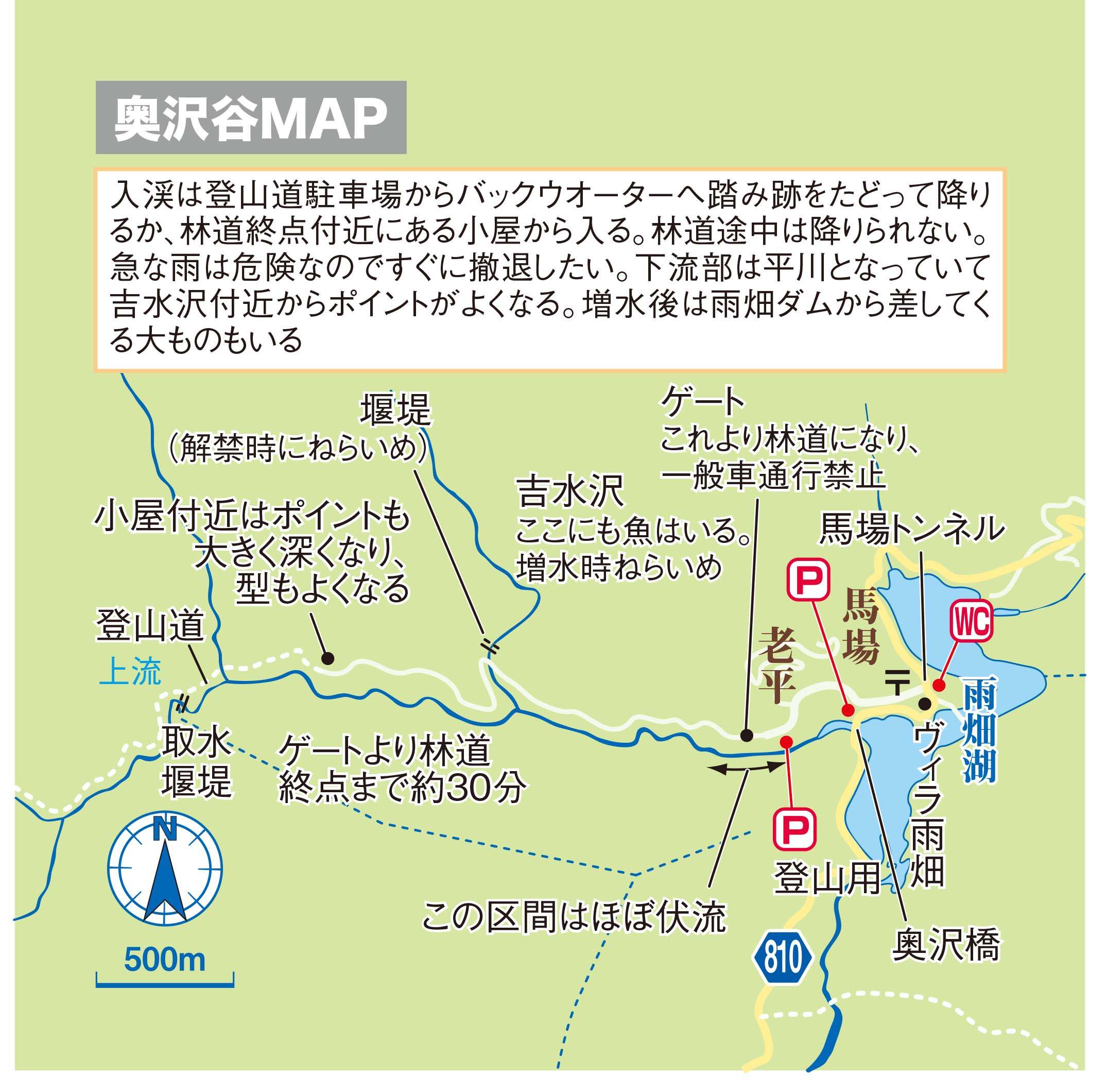 fujikawa (8)