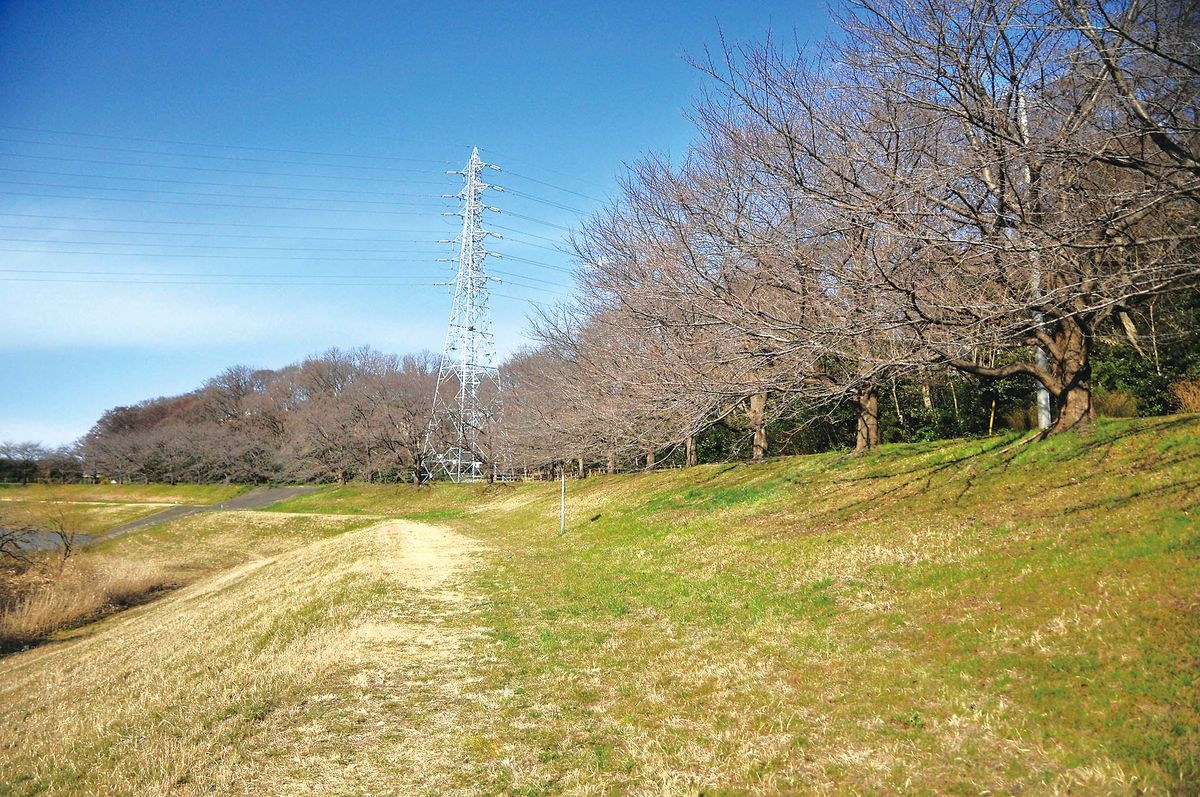 046-049kouen_cs6 (16)