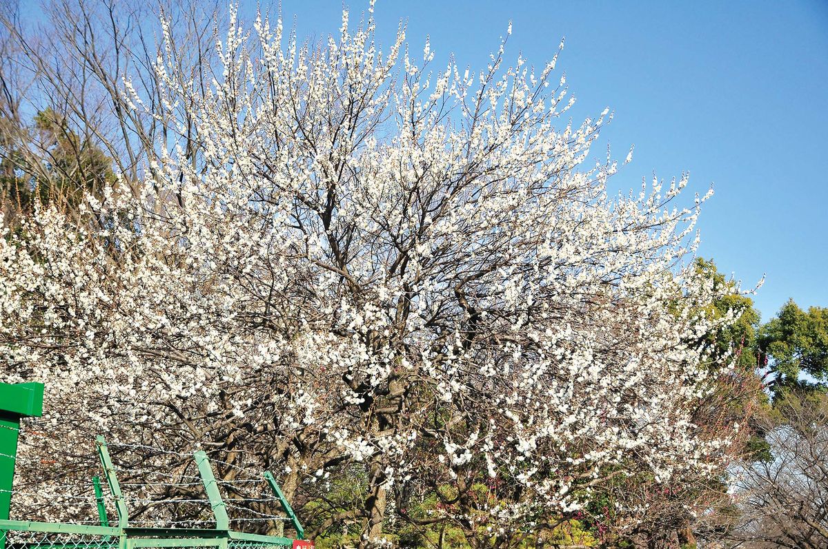 046-049kouen_cs6 (18)