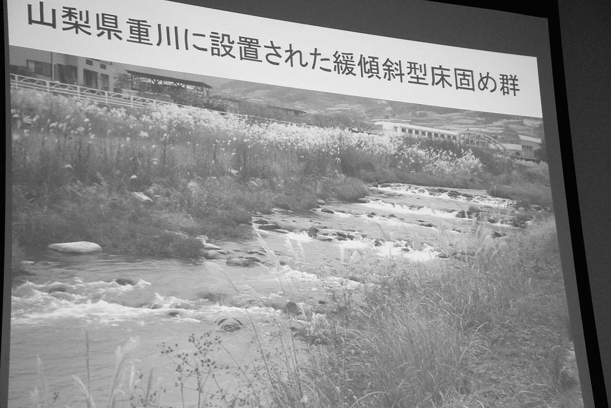 06-DSC_6160