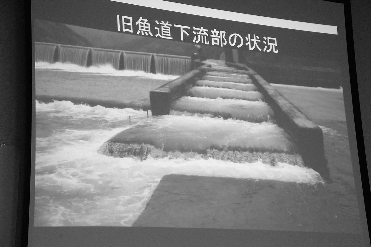 10-DSC_6162