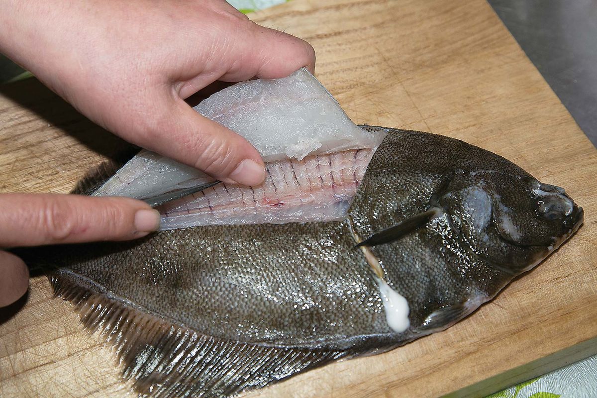 カレイ料理 さばき方 美味しい鮮魚料理