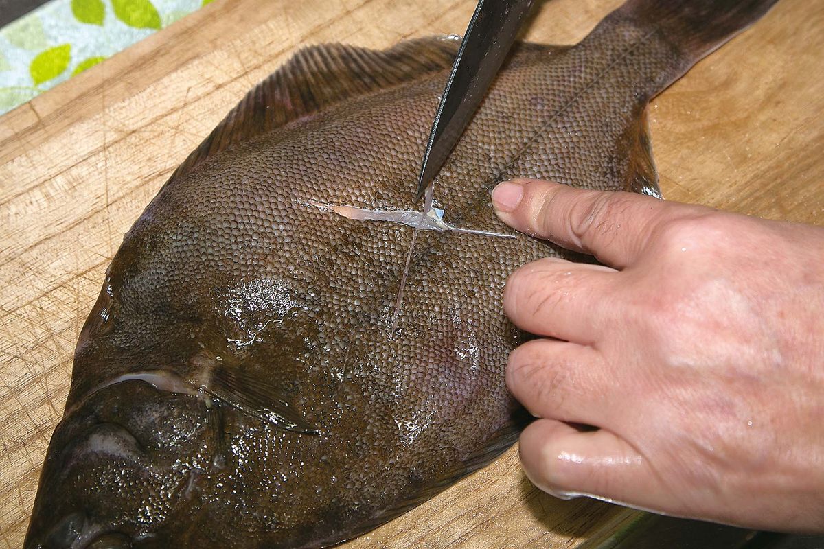 カレイ料理 さばき方 美味しい鮮魚料理