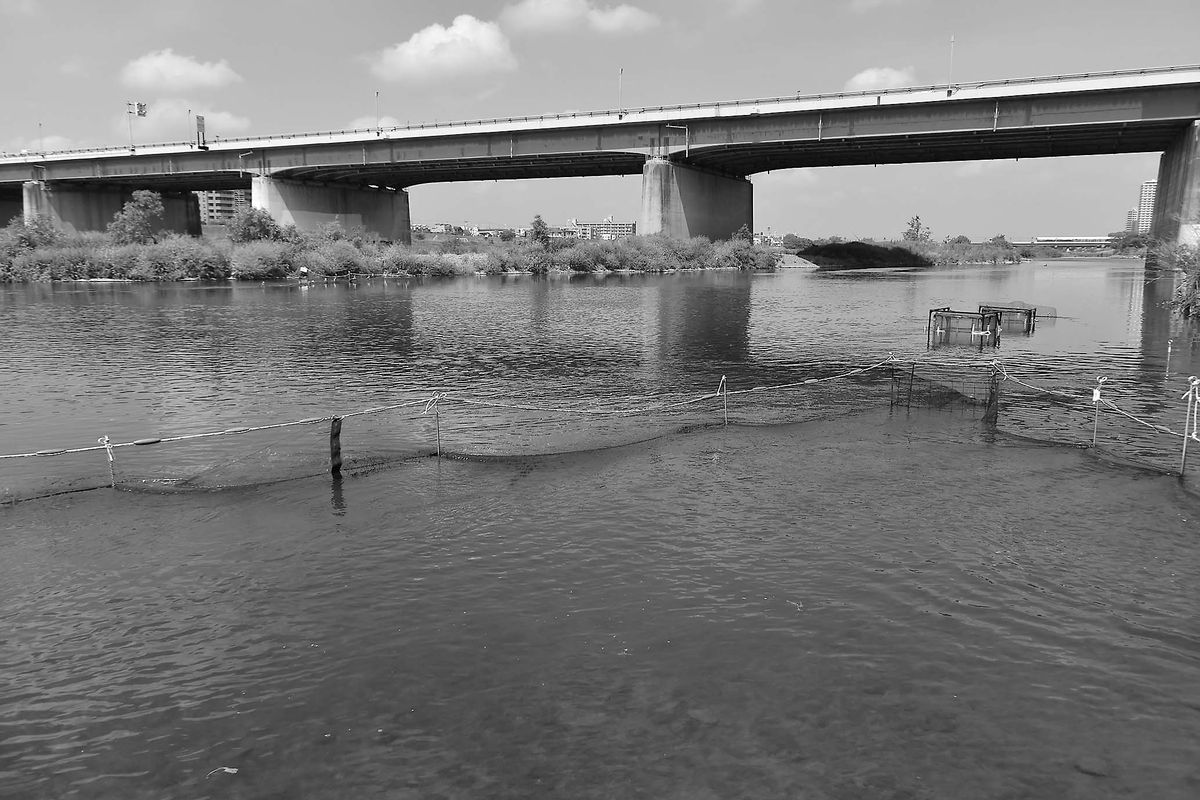 12-DSC_1679