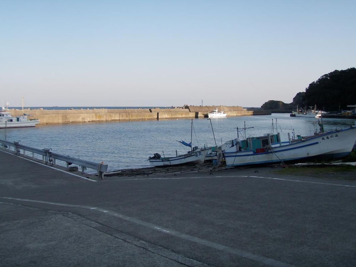 アオリイカ釣り 千葉県勝浦市 松部漁港 全国おすすめ釣り場